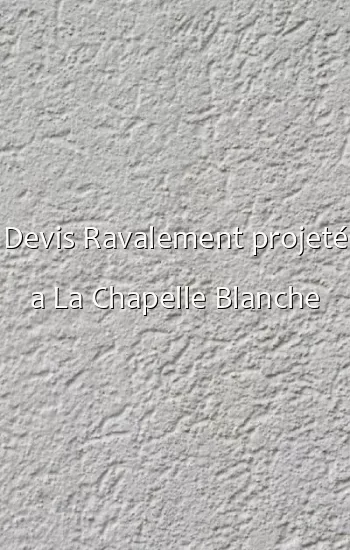 Devis Ravalement projeté a La Chapelle Blanche