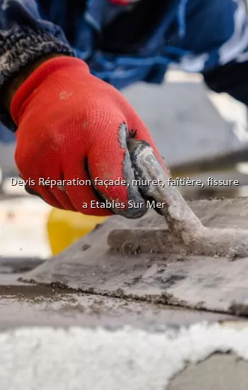 Devis Réparation façade, muret, faîtière, fissure a Etables Sur Mer